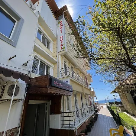 Asmalı Altınoluk *