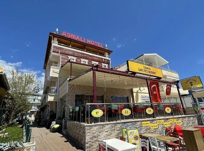 ホテル Asmali Altinoluk エドレミト