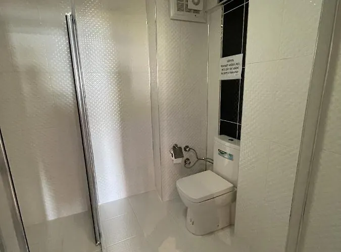 Asmali Altinoluk エドレミト